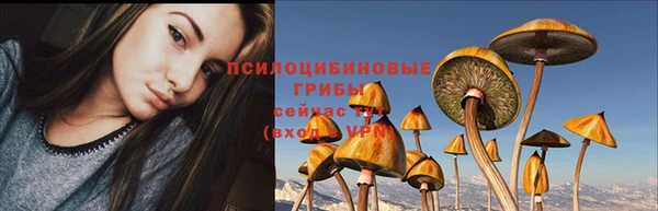 эйфоретик Володарск