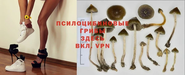 эйфоретик Володарск