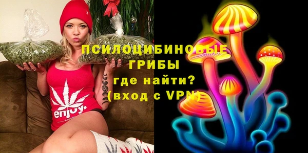 ешки Волосово