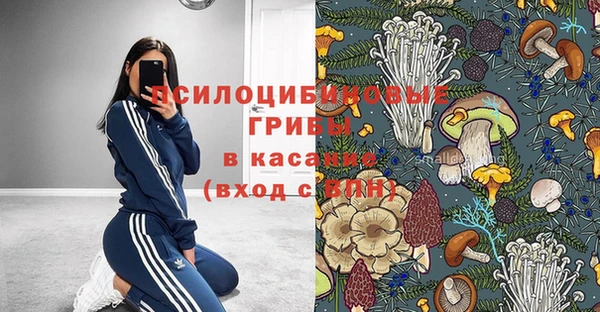 ешки Волосово