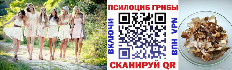 Галлюциногенные грибы ЛСД  MEGA онион  Отрадное 