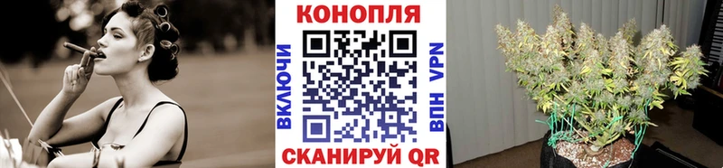 Шишки марихуана семена  Отрадное 